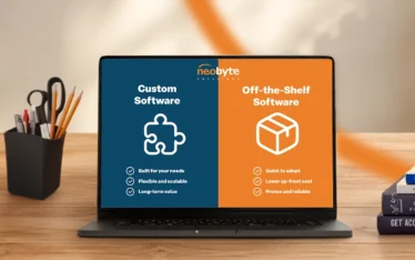 hero Custom vs Off-the-Shelf Software