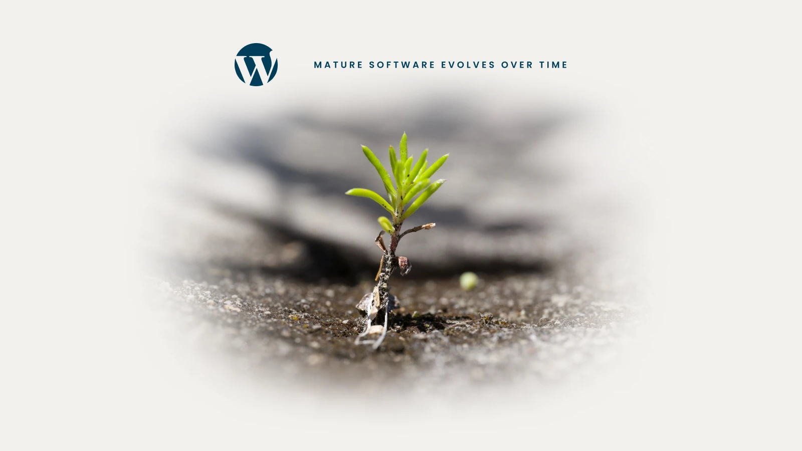 Mature Software Evolves Over Time - Young plant